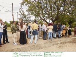 Festival Mar de Tethys 2026 - Bodega Vetas